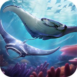 Top Fish: Ocean Game